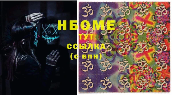 хмурый Алексин