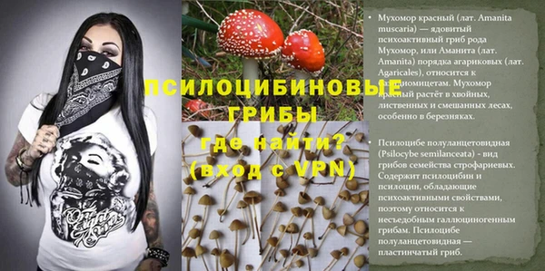 винт Алзамай