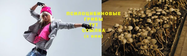 PSILOCYBIN Остров