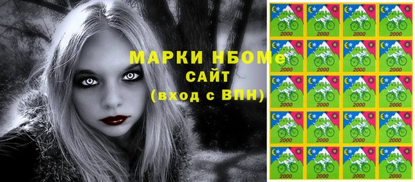 хмурый Алексин