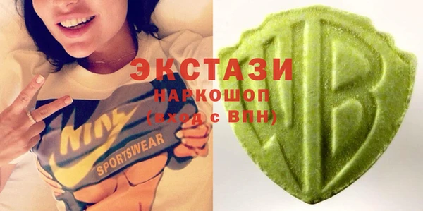 хмурый Алексин