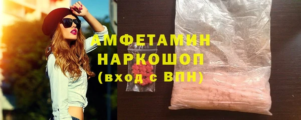 хмурый Алексин
