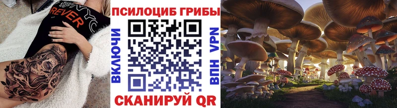 сколько стоит  Балашов  Псилоцибиновые грибы мицелий 